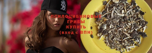 mix Богородицк