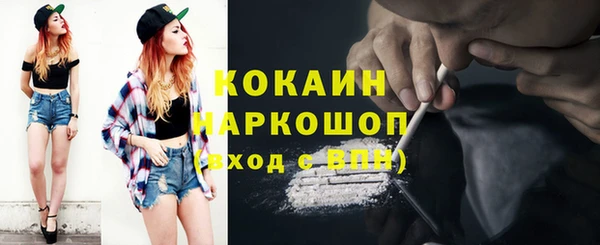 гидра Бородино