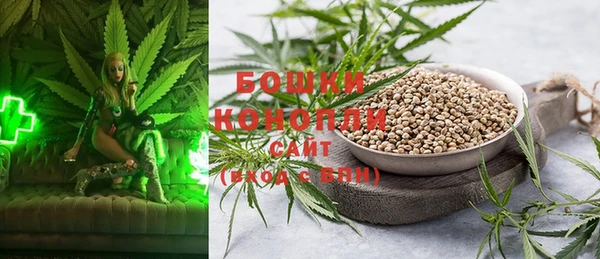 твердый Богданович