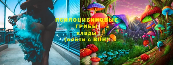гидра Бородино