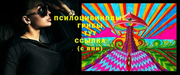 гидра Бородино
