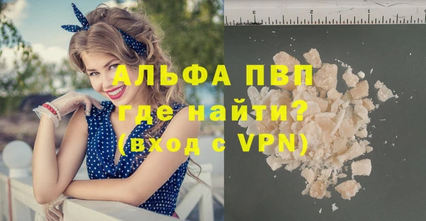 твердый Богданович